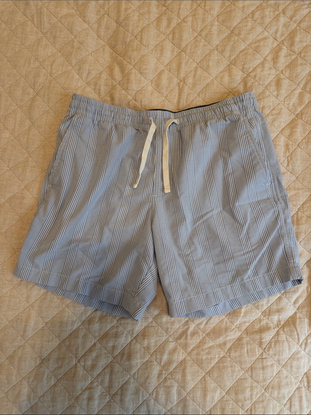 Vineyard Vines Light Blue & White Striped Swim Trunks